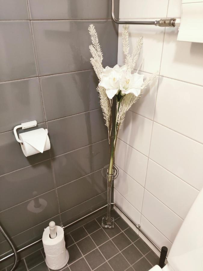 Joutjaerven Studio Apartment ラハティ エクステリア 写真